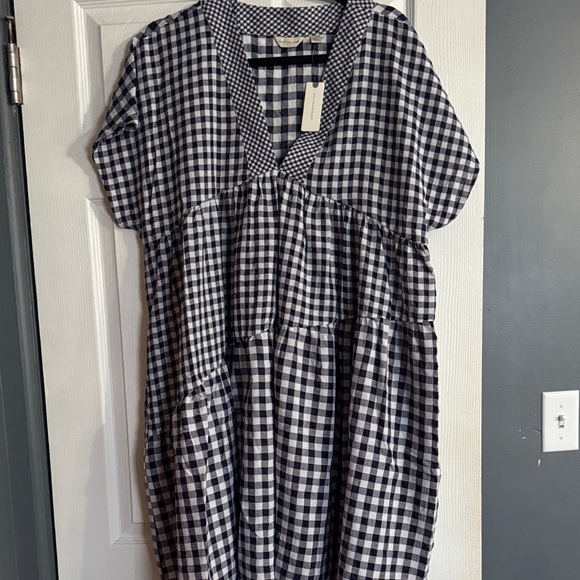 Anthropologie Navy and White Gingham Dress